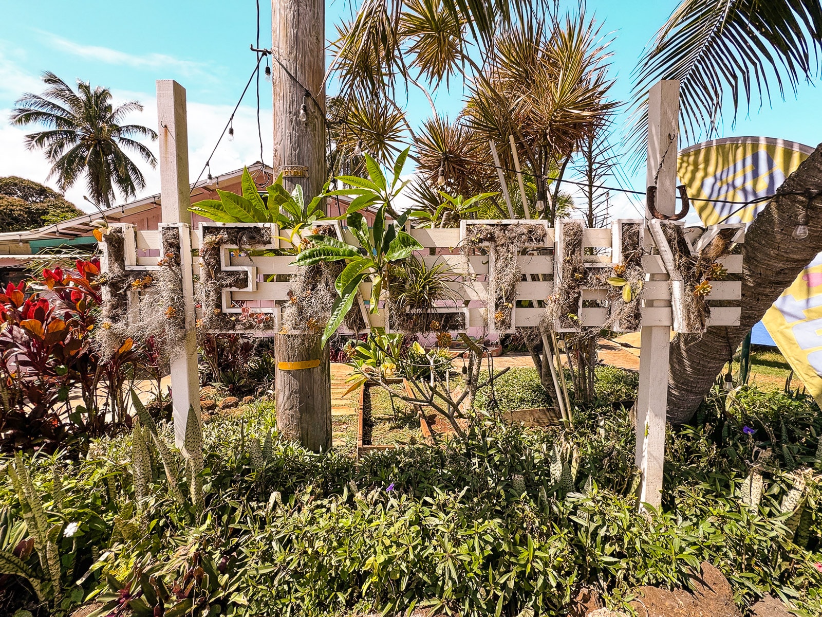 Plant-filled "Healthy" sign outside of Russell's by Eat Healthy Restaurant Kauai, Hawaii