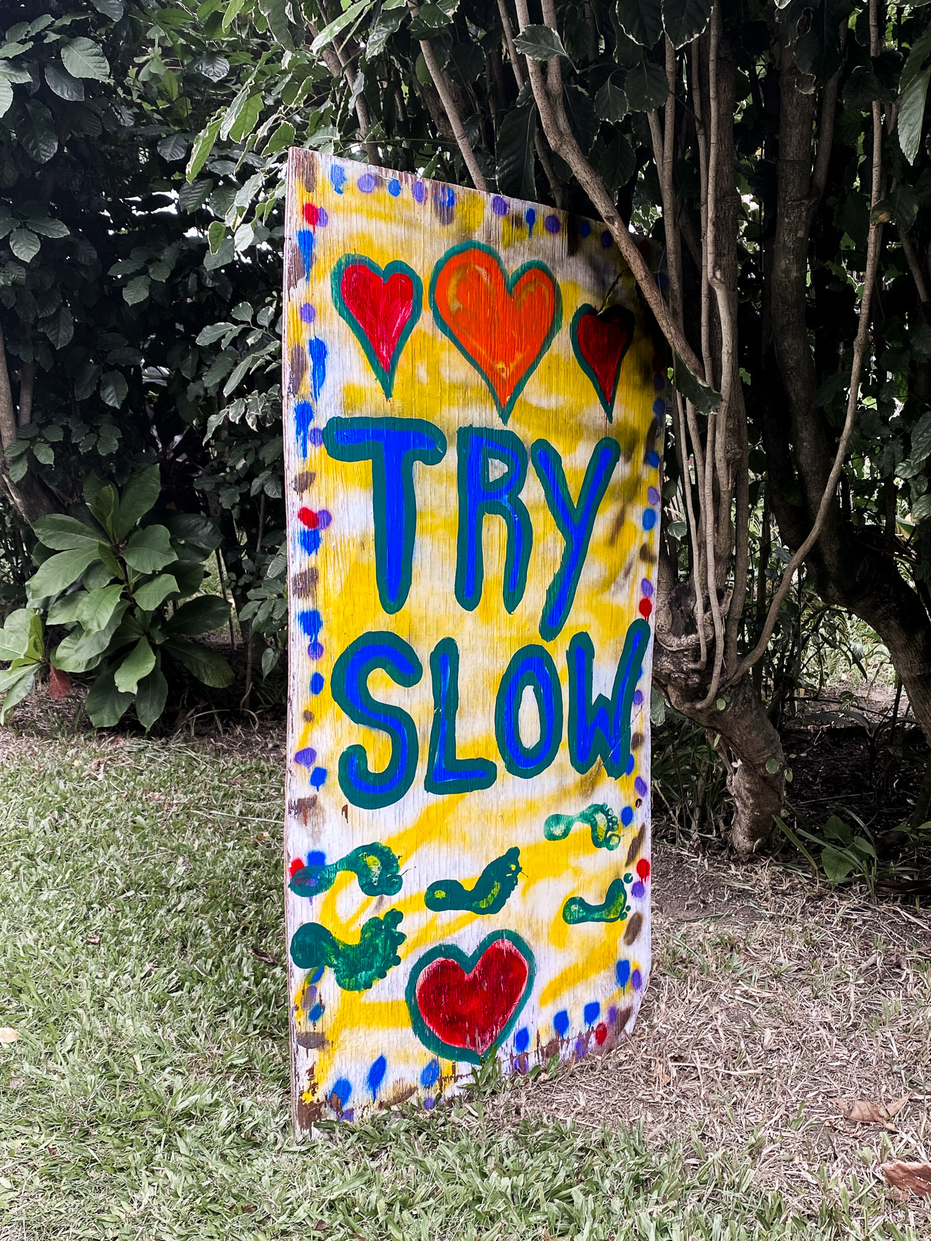 Try Slow sign along the side of the road in Hanalei, Kauai