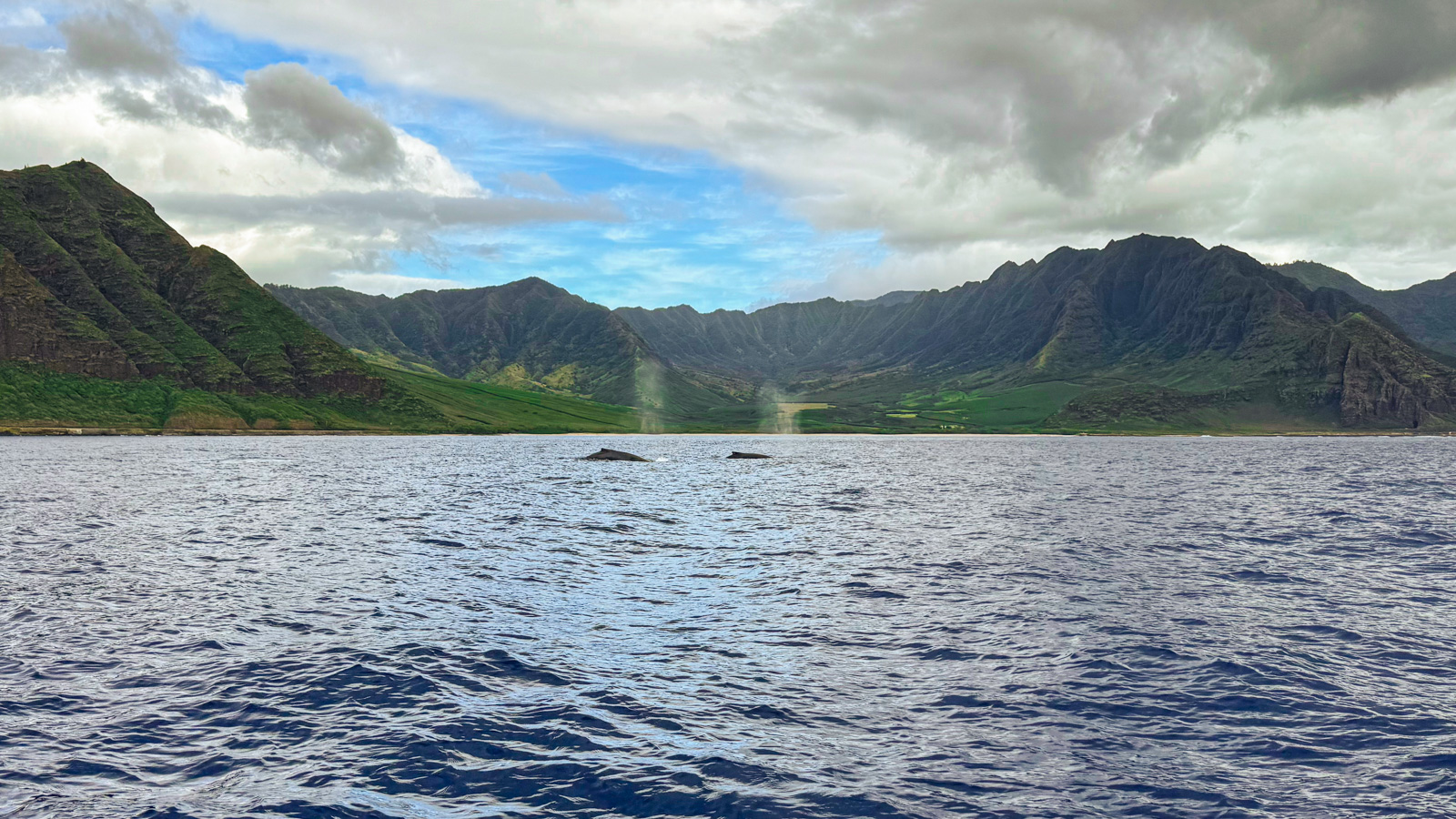 Best Spots for Whale Watching in Oahu Blog Post Picture: Two whales surfacing with spouts of water near the coast of the west side of Oahu, Hawaii, set against a backdrop of dramatic green mountains under a partly cloudy sky.
