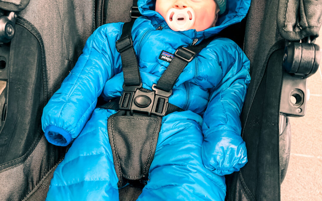 Visiting Milford Sound with a Baby or Young Kids: A Quick Guide